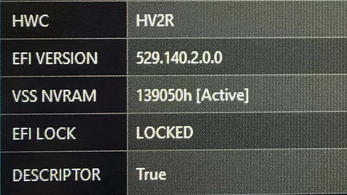 Výpis firmwaru přečteného z čipu, řádek EFI LOCK: LOCKED